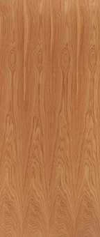External/Internal Lipped Timber Blank FD60 54mm Fire Door